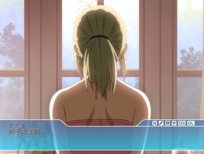 PC/ADV SISTERS：夏日最后一天～Ultra Edition 6.6G游戏封面